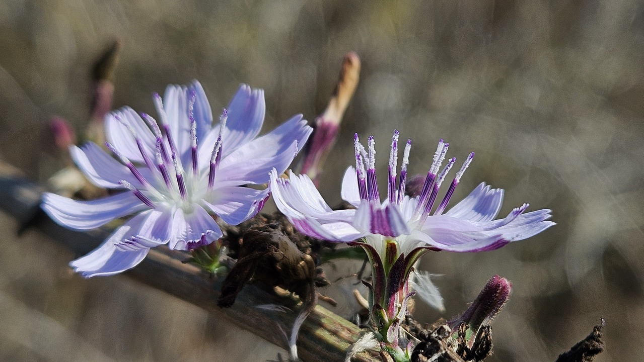 [citação] Amar é sempre ser vulnerável...