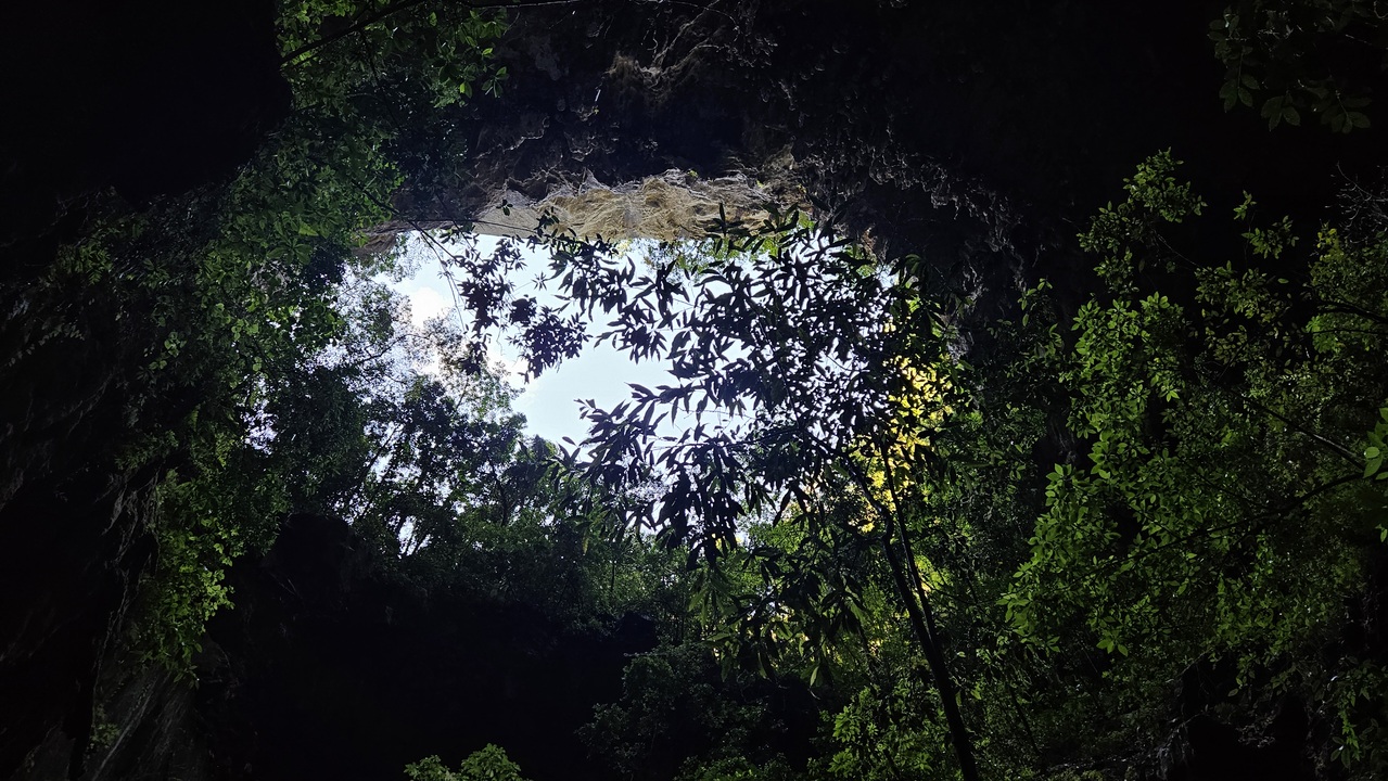 [citação] Eu sou aquilo que Deus pensa de mim