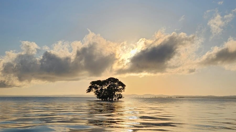 [citação] A tarefa do cristão não é lamuriar acerc...